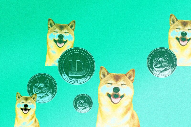 The Crazy Journey of DogeCoin, Baby DogeCoin, Shib Coin and other Meme Coins